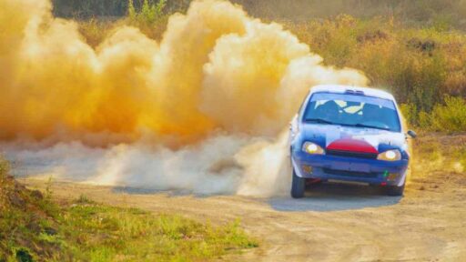 Verona rally