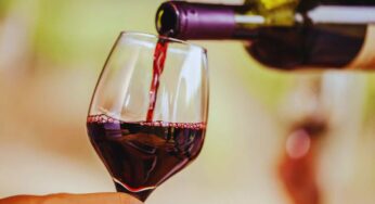 Ecco il vino veronese che ha entusiasmato tutti al G7: i potenti del mondo lo considerano il migliore