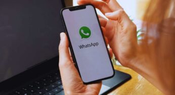 WhatsApp, ora puoi aggiungere contatti ai Preferiti: ecco come fare